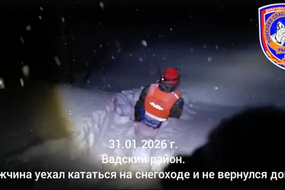 Нижегородец погиб на снегоходе в лесу во время бури