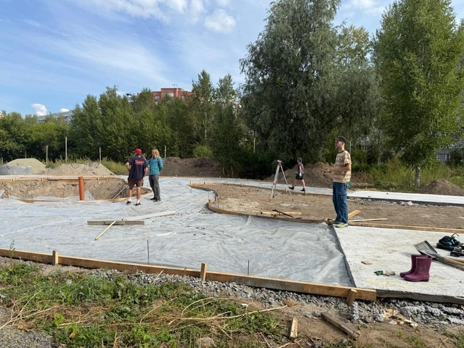 В сквере появятся газоны, сосновая аллея и несколько тополей | Источник: Дарья Староверова / NGS.RU