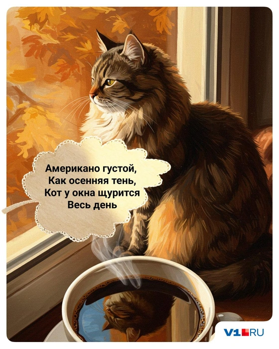 Американо без сахара, может быть, не поднимет настроение, но точно разбудит | Источник: Полина Авдошина / V1.RU