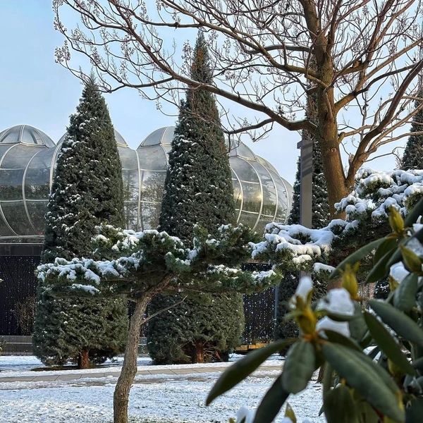 Источник: japanese_park_krd / T.me