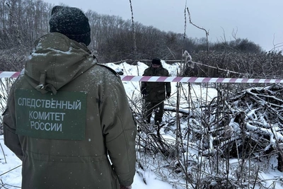 В Ялуторовске найдено расчленённое тело женщины