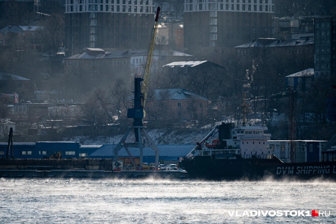 Источник: Елена Буйвол / VLADIVOSTOK1.RU