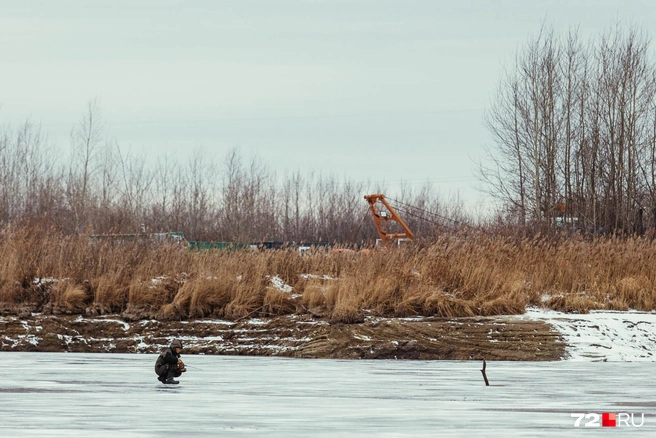 Местные недовольны состоянием озера | Источник: Ирина Шарова / 72.RU
