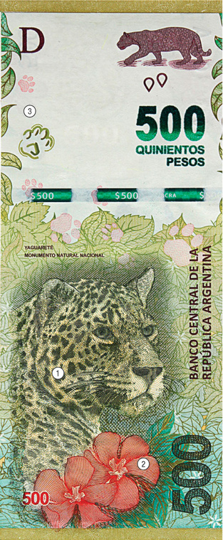 Дать на лапу: 8 фактов о новой аргентинской банкноте
