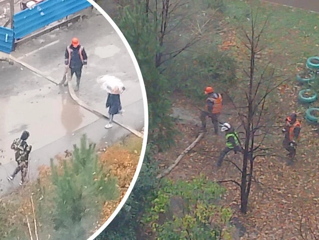 Специалист отстранён, начата процедура его увольнения | nsk54.online