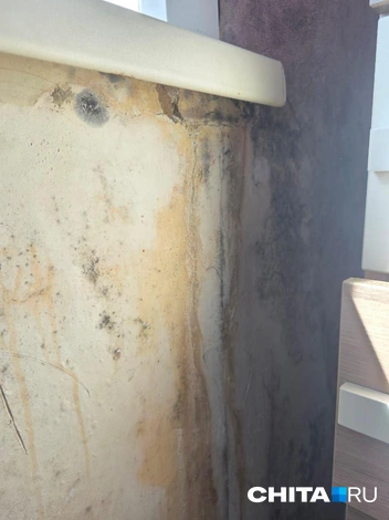 Источник: очевидец