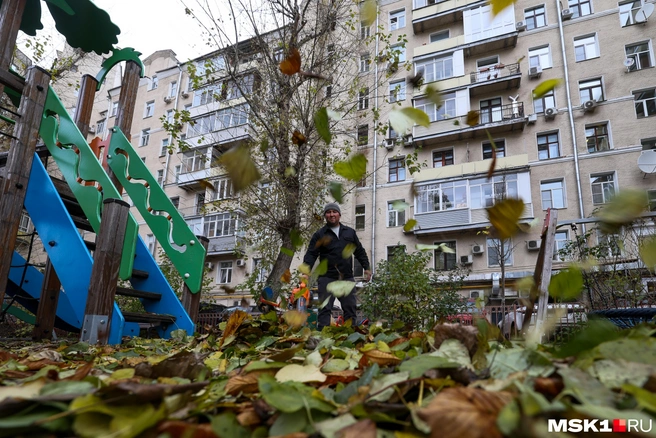 Дворники убирают листья с помощью бензиновых воздуходувок во время бензинового кризиса  | Источник: Артём Устюжанин / MSK1.RU