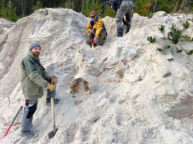 Источник: Григорьев Д. В.
