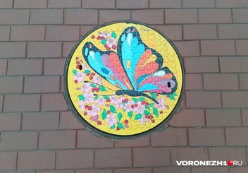 Источник: Алёна Воропаева / Voronezh1.ru
