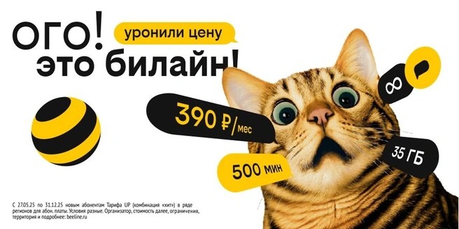 Акция продлится до 31 декабря | Источник: Билайн