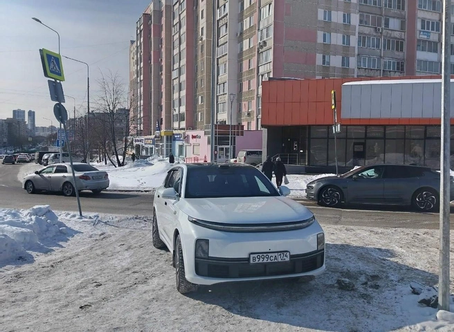Владелец этого Lixiang залил перцовкой пешехода, который сделал ему замечание. Сам он утверждал, что у пешехода был нож | Источник: читатель 74.RU