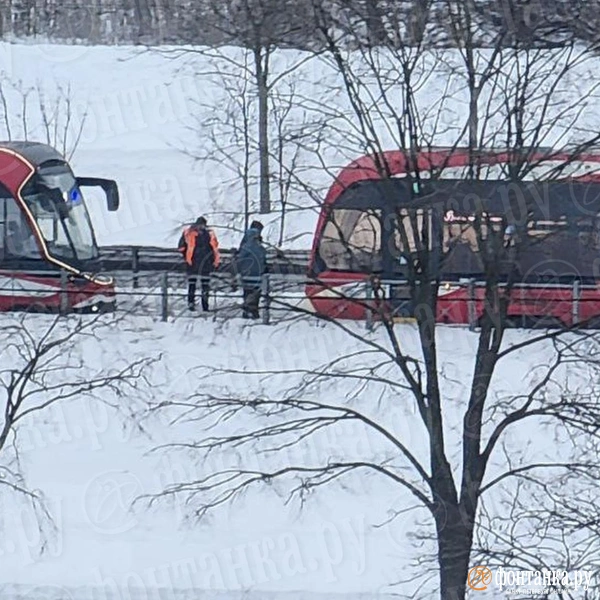 Источник: читатель «Фонтанки» 