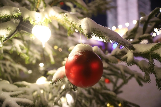 Что нельзя делать 15 декабря? | Источник: Сергей Михайличенко / FONTANKA.RU