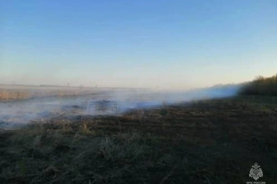 В Алтайском крае загорелось 1500 квадратов сухой травы