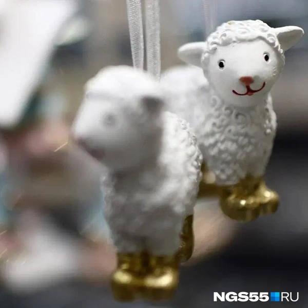 Бу! Испугался? | Источник: Евгений Софийчук / NGS55.RU