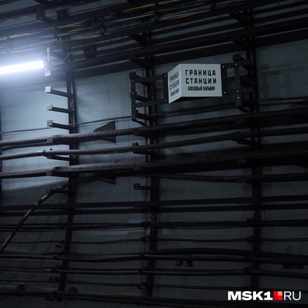 Источник: Дмитрий Толстошеев / MSK1.RU