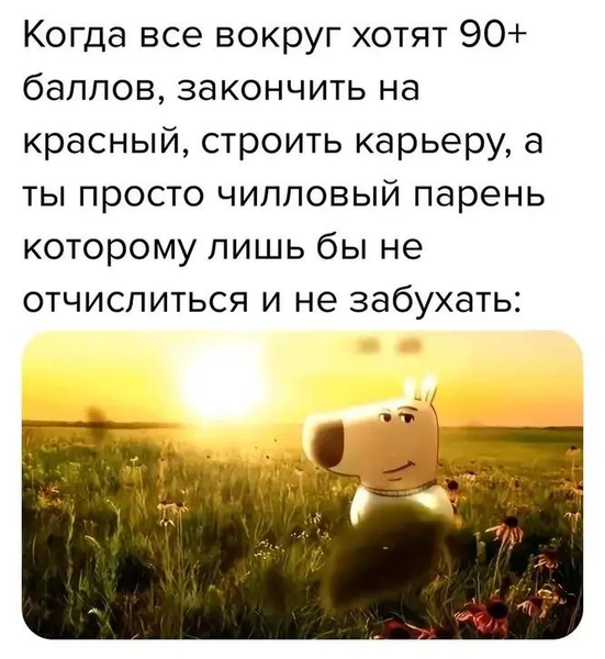 Источник: Соцсети