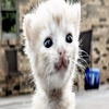 userpic__krissssas