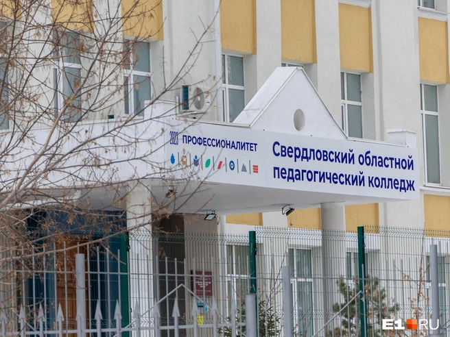 Судя по ценам, учителей музыки и музыкальных руководителей в садиках и школах сейчас хватает | Источник: Владислав Лоншаков / E1.RU
