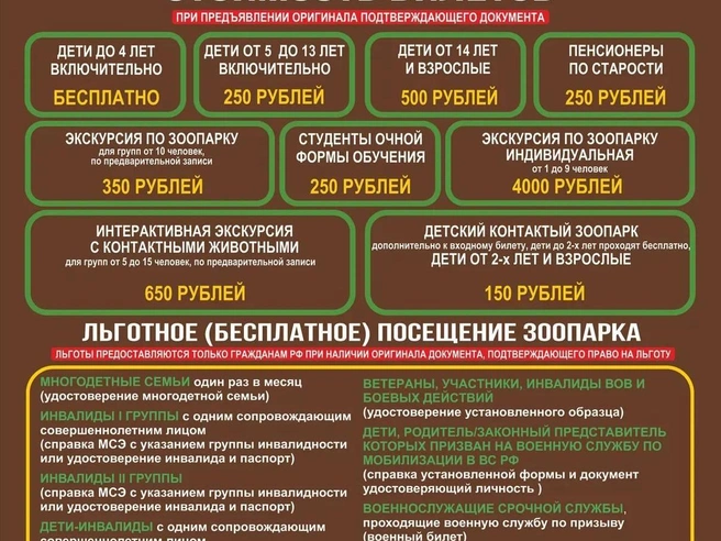 Источник: chel_zoo / t.me