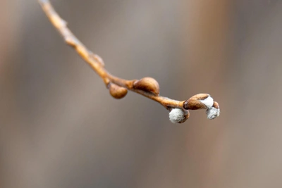 Погода в Приморье 12 апреля будет неоднородной