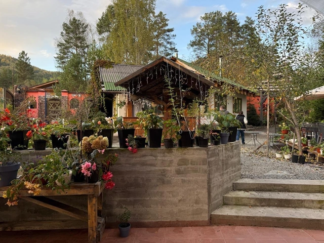 Однако делом жизни растения для Веры стали только 20 лет назад | Источник: Вера Фукс