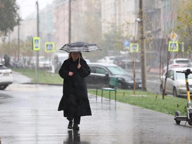 Снегопад сопровождался холодным, порывистым ветром. | Источник: Александр Ощепков