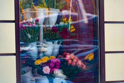 Салон «Белая орхидея» покидает ТК «Топаз» в Омске