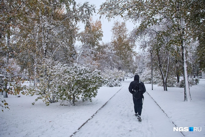 Синоптики дали прогноз о наступлении зимы в Центральной России | Источник: Александр Ощепков / NGS.RU