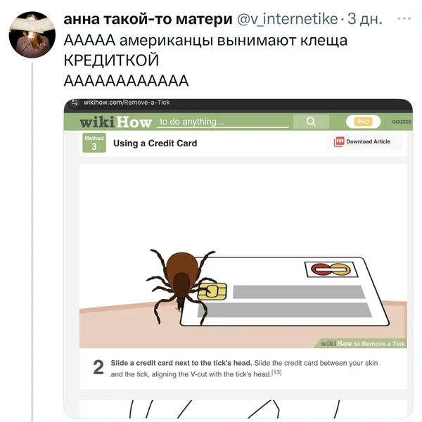 Источник: X (Twitter)