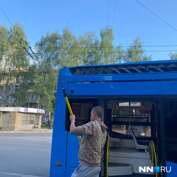Источник: Наталья Баранова / NN.RU 