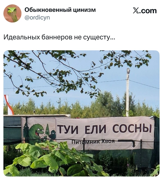 Источник: X (Twitter)
