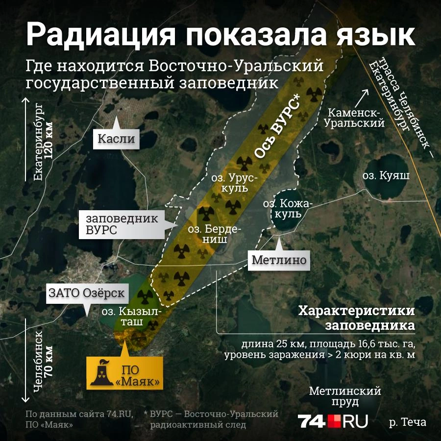 Источник: Полина Авдошина
