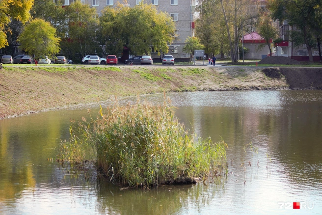 Здесь еще плавают уточки  | Источник: Павел Красоткин / 72.RU 