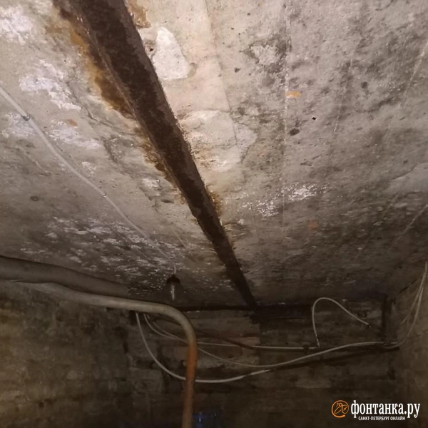 Источник: «Фонтанка.ру»