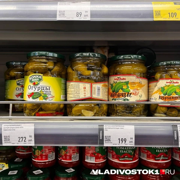 Источник: Алиса Князева / VLADIVOSTOK1.RU