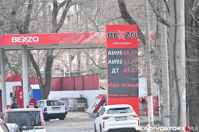 Источник: Елена Буйвол / VLADIVOSTOK1.RU