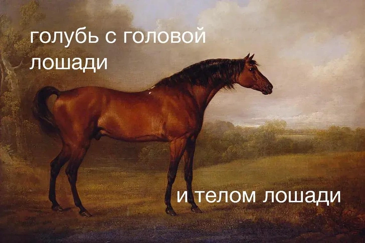 Брейнрот-животные и не только: 8 парадоксальных интернет-мемов о сочетании несочетаемого | vokrugsveta.ru
