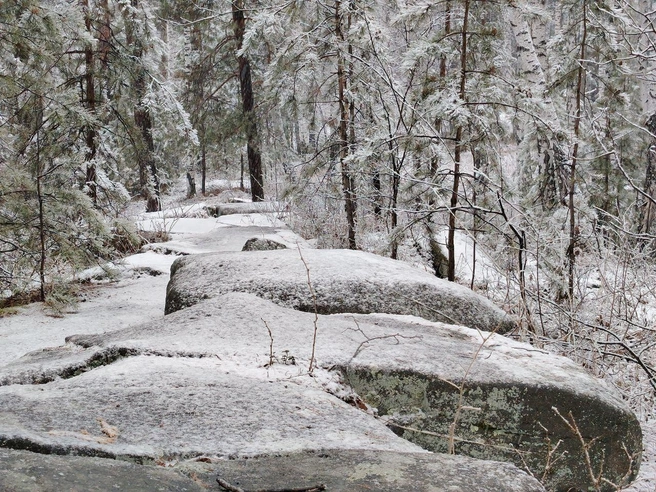 Источник: читатель E1.RU