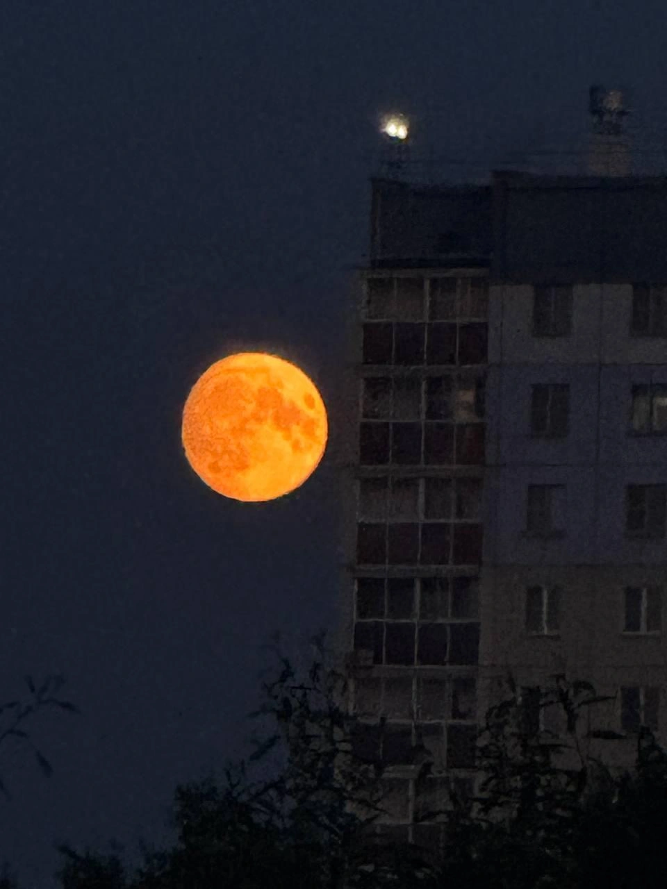 Разглядывать небо лучше вдали от фонарей, но в этот раз луну можно было рассмотреть и в черте города | Источник: читатель 74.RU