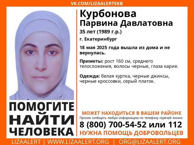 Источник: поисковый отряд «ЛизаАлерт»