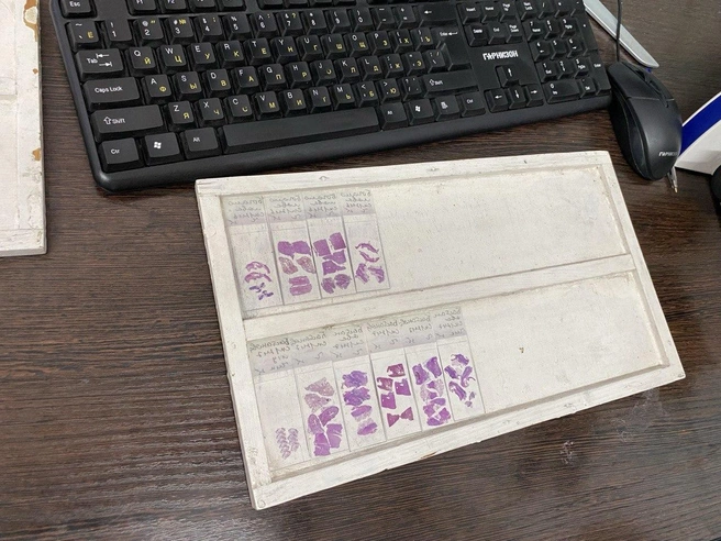 Материалы для исследования часто выглядят именно так | Источник: Ирина Господаренко / NGS22.RU