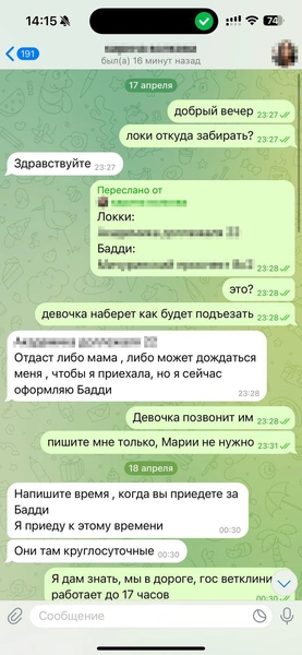 В день, когда все случилось, Родион был на нервах. Это видно по переписке | Источник: Родион Проводин