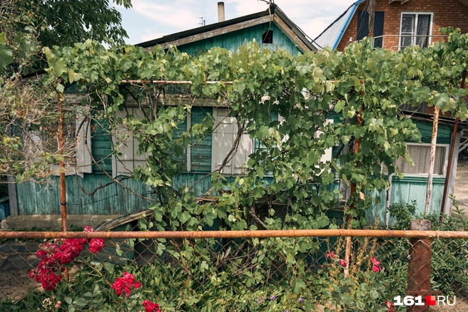 Источник: Артем Марьенко / 161.RU