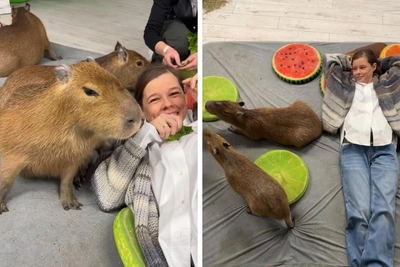 Беременная Катерина Шпица в восторге от кафе с капибарами