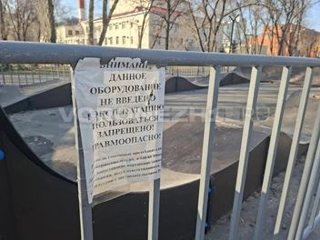 Источник: Алена Воропаева / Voronezh1.ru