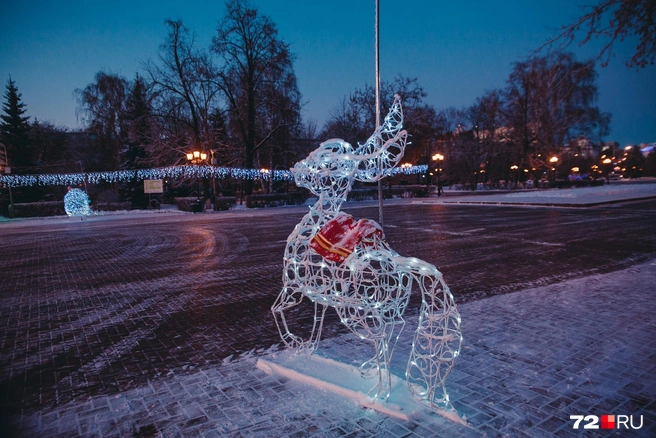 Погода, согласно предварительным данным, будет комфортной в Тюмени | Источник: Ирина Шарова / 72.RU