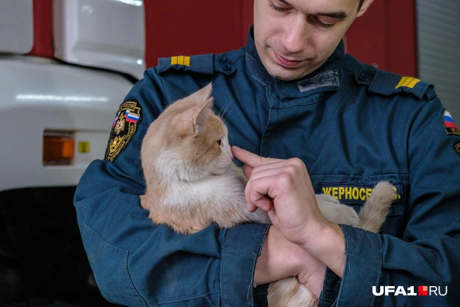 А что это у нас? Носик! Пуньк! | Источник: Булат Салихов / UFA1.RU