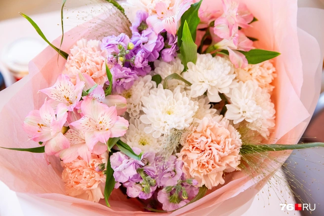 Западный цветочный трипс высасывает соки из домашних цветов | Источник: Кирилл Поверинов / 76.RU