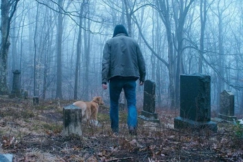 Фильм «Глазами пса»: в чем смысл нового хоррора про собаку и ее хозяина и почему он так пугает зрителей